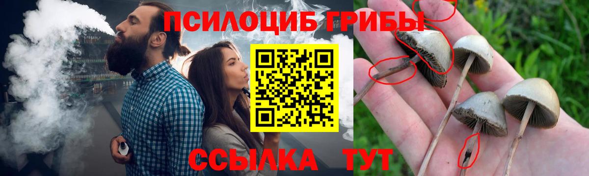 Псилоцибиновые грибы прущие грибы  Вход с VPN  Волжский 